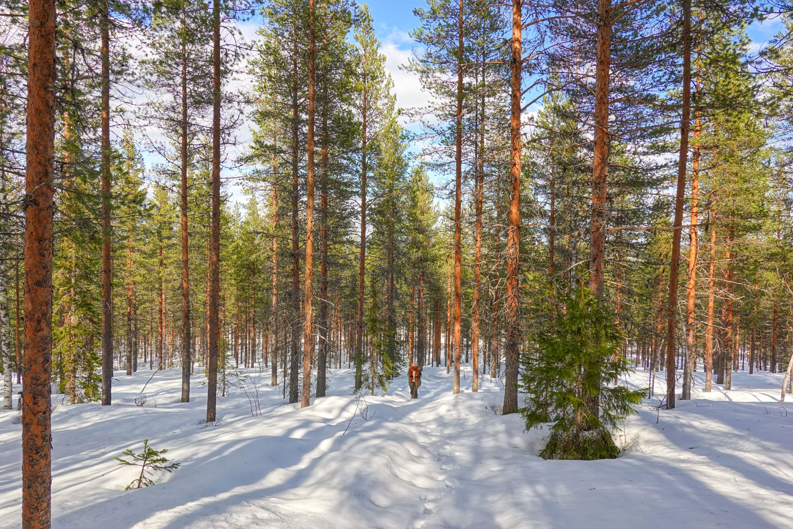 Finlande, Helsinki et Laponie