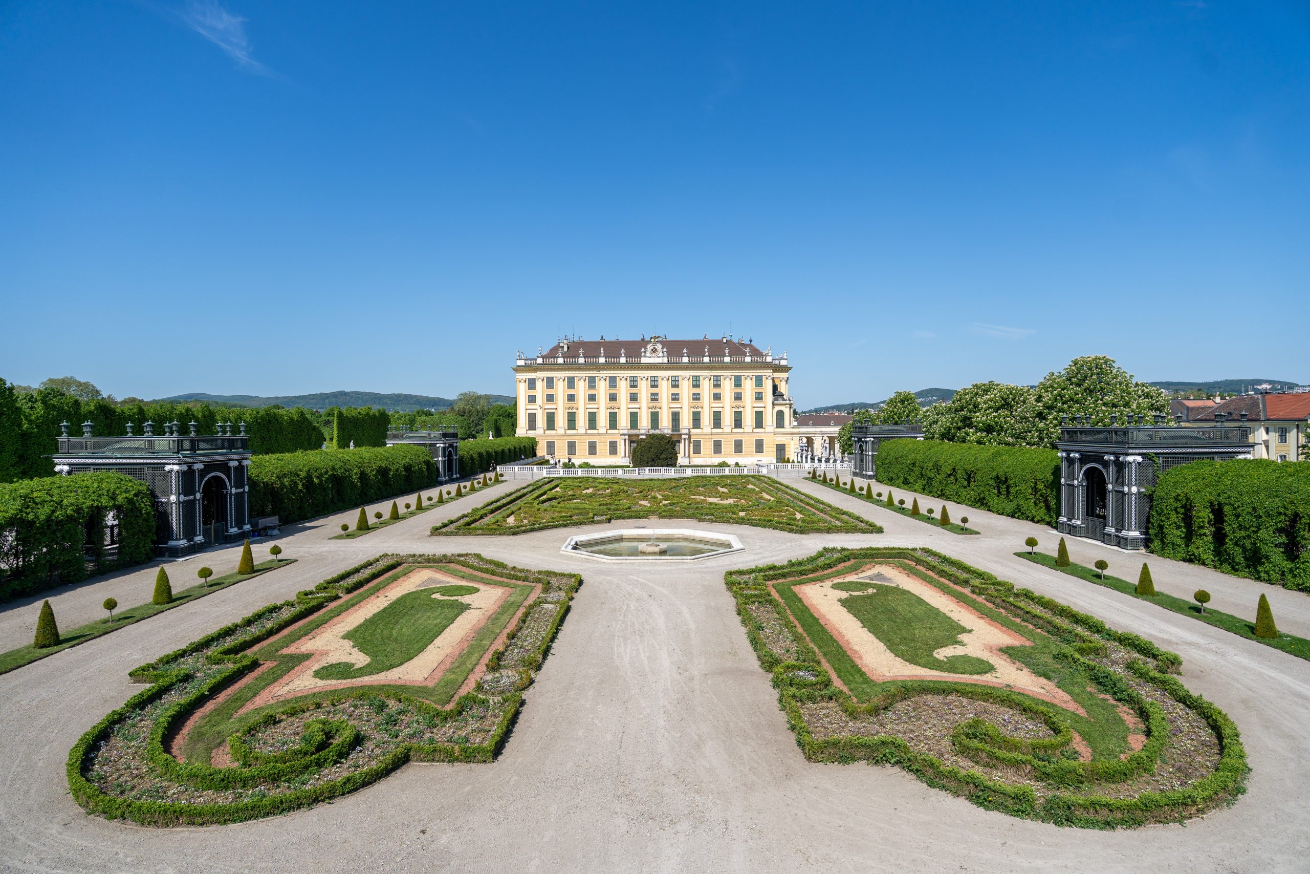 A Vienne que pourra !